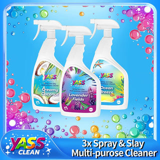Spray and Slay Multi-Purpose Anti-Bacterial Surface Cleanser